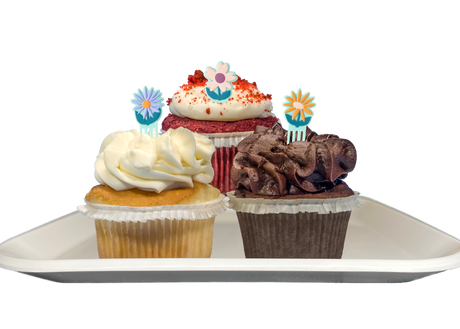 Spring Themed Cupcakes-EventCateringHouston.com